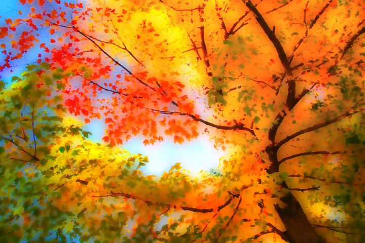 Autumn Sky Palette