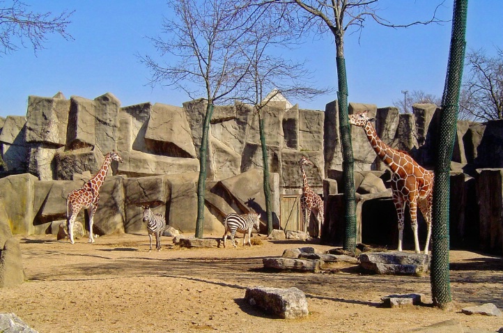 Cincinnati zoo, Cincinnati, OH