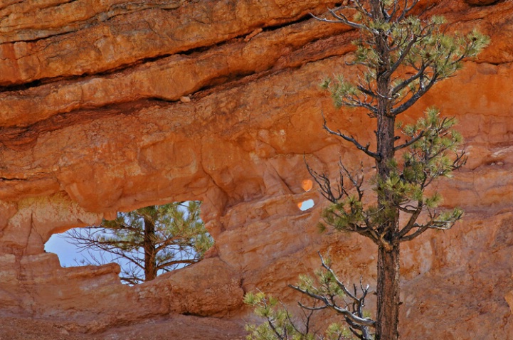 Bryce Canyon Window