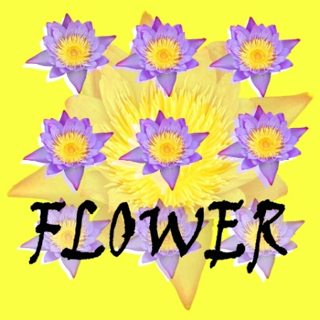 Flower Graphic