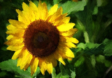 Impressionist Sunflower