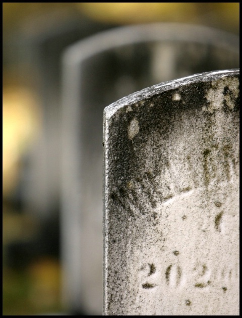 Telephoto/Mount Hope Cemetery; Rochester NY