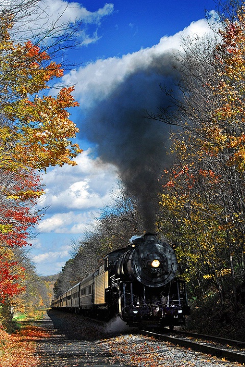 Autumn Steam