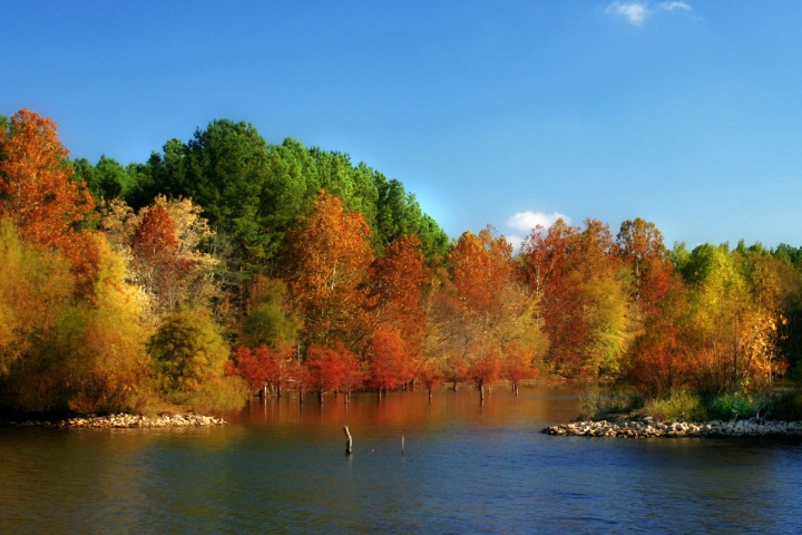 Autumn Lake