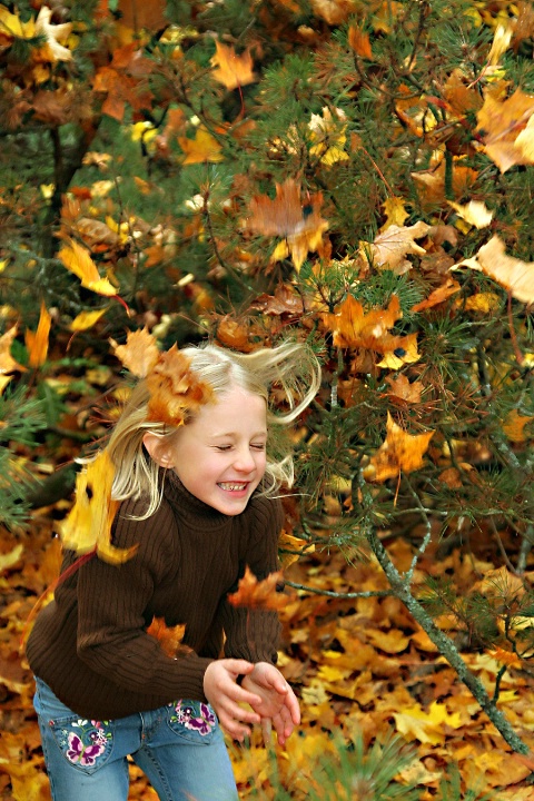 Falling leaves