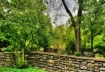 Lush Garden