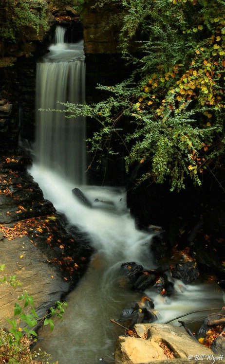 Chattahoochee River Over Flow