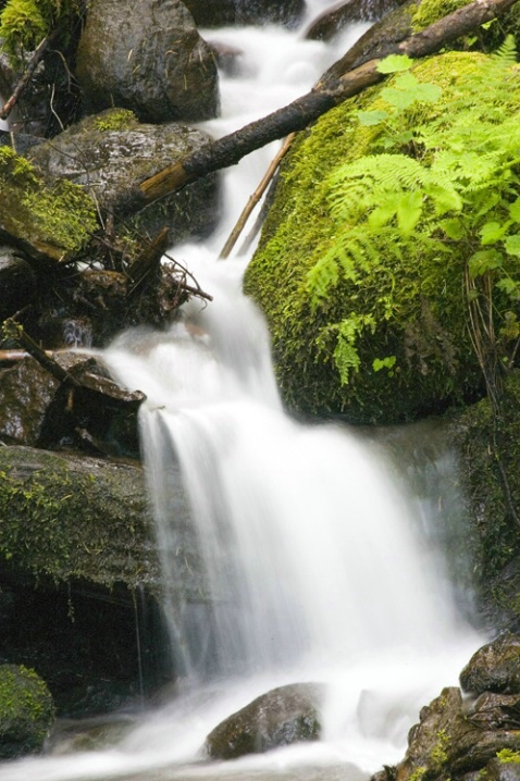 Wahkeena Falls #1 - ID: 2945938 © Tedd Cadd