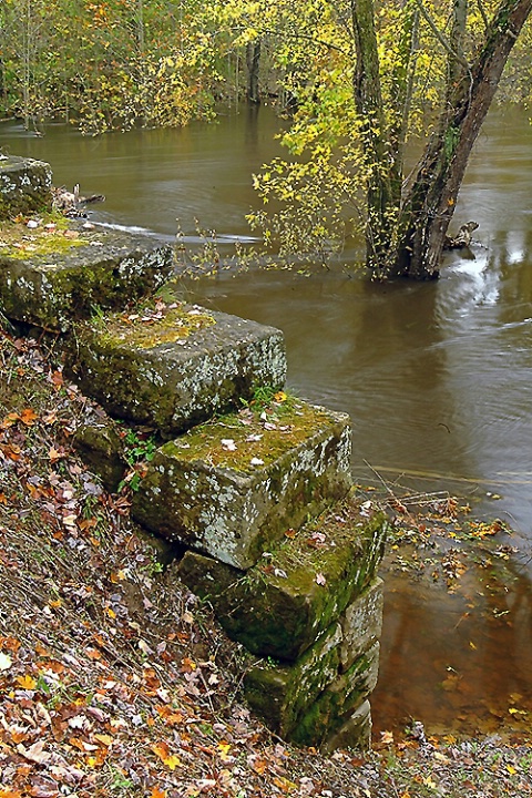 Bridge Wall and Tree