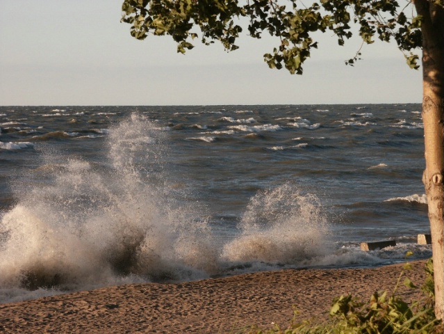 Rough Lake Erie
