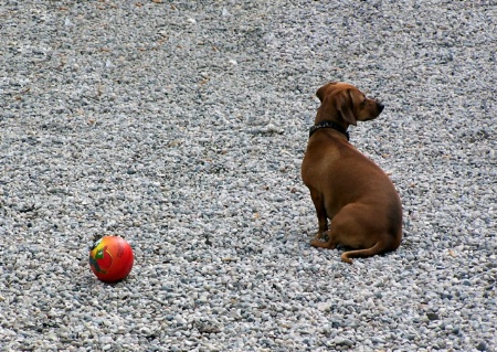 I don't wanna play with the ball ... 