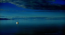 November 2006 Photo Contest 2nd Place Prize Winner