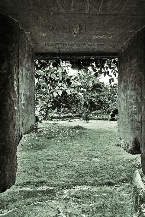 View from Inside a Shelter