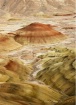 Painted Hills #4