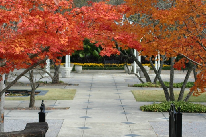 Botanical Gardens Fall of 2006