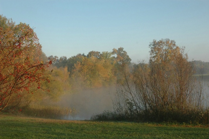 Fog in Fall