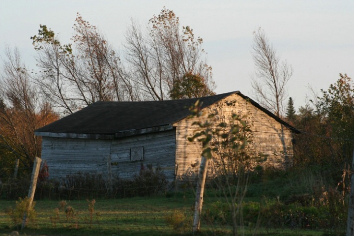 Old Horse Barn