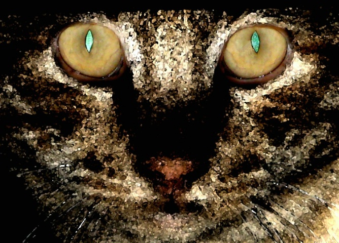 cat eyes 2