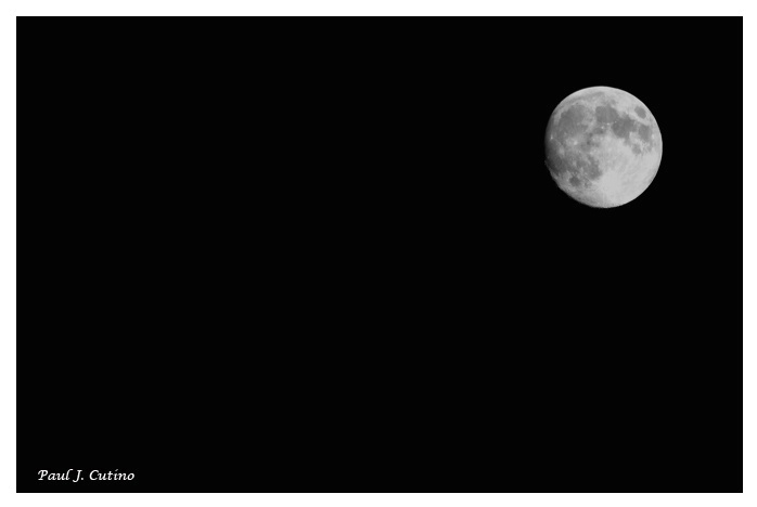 ~ Moon in Black ~ - ID: 2989715 © Paul Cutino