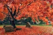 Ablaze