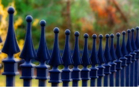 Wrought Iron Fence