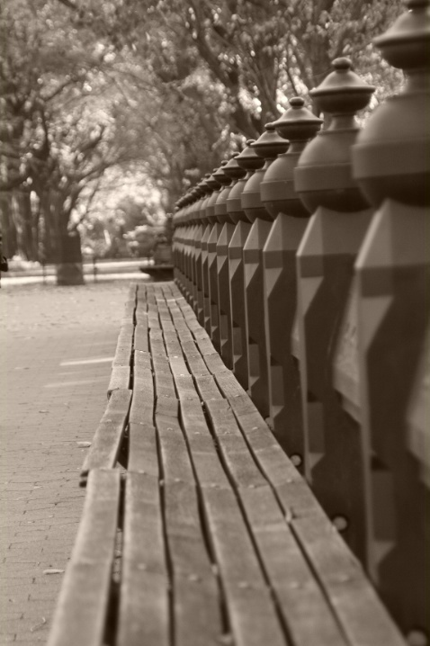 Central park bench