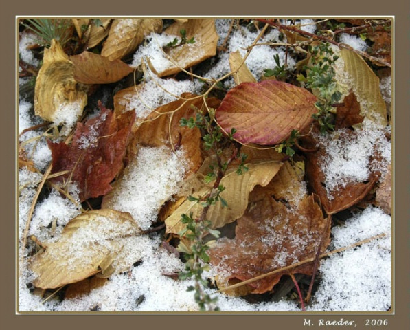 First Snow of the Season 