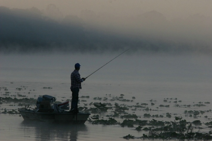 Foggy Fishing