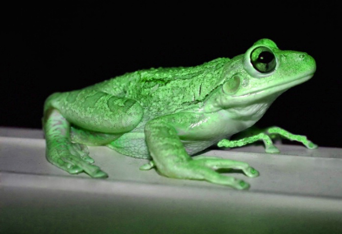 img20