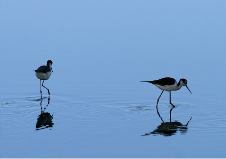 Walking on Water