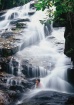 A Lady and Nature