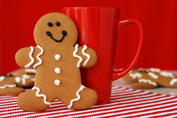 ~ Gingerbread Man ~