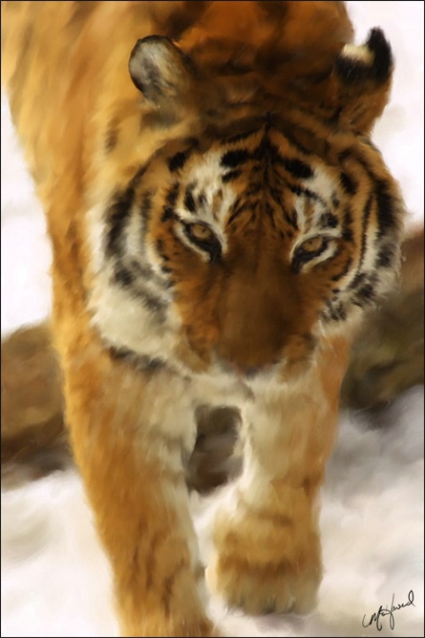 Tiger with distortion brush