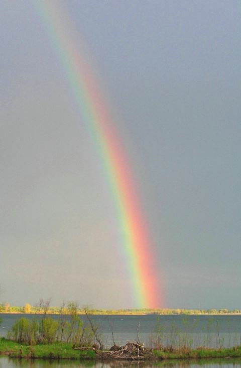After the Storm