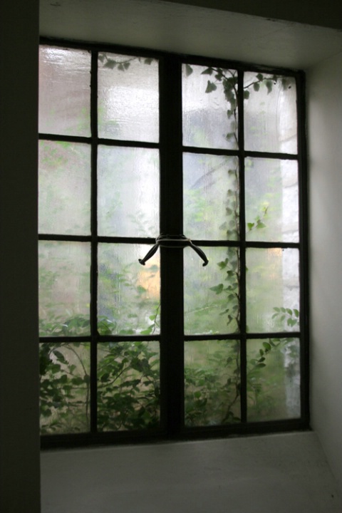 "Ivy Window 2"