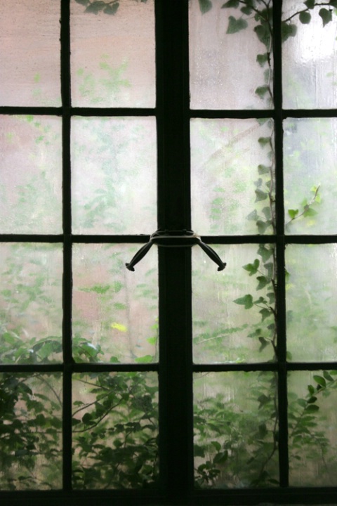 "Ivy Window 1"