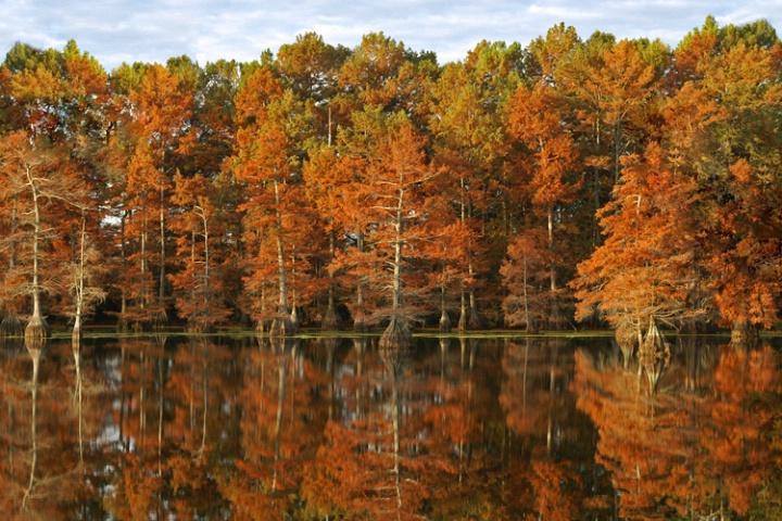 Fall Reflections