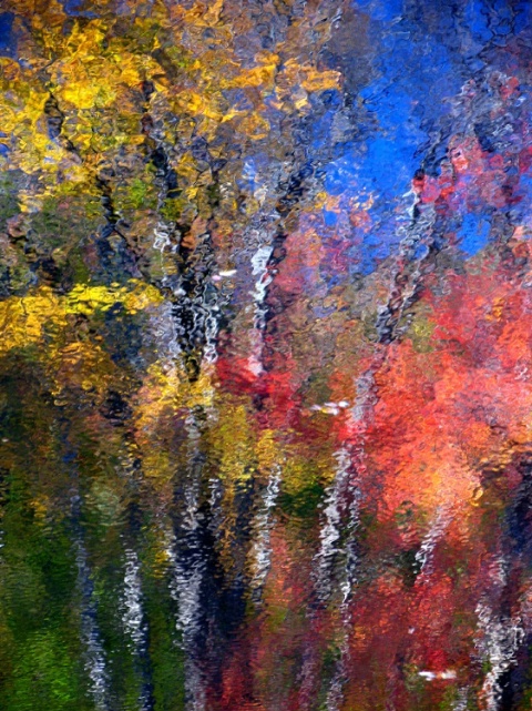 Nature's Watercolors  - Autumn Pond Reflection