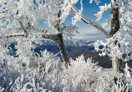 Winter in the Smokies #2