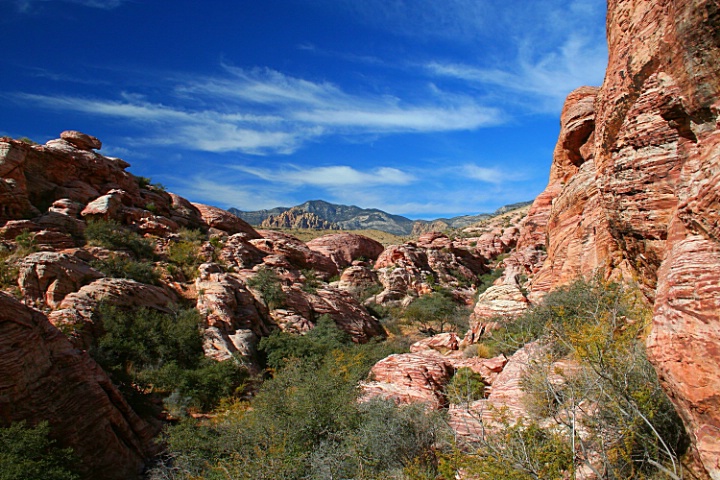 Red Rock Canyon