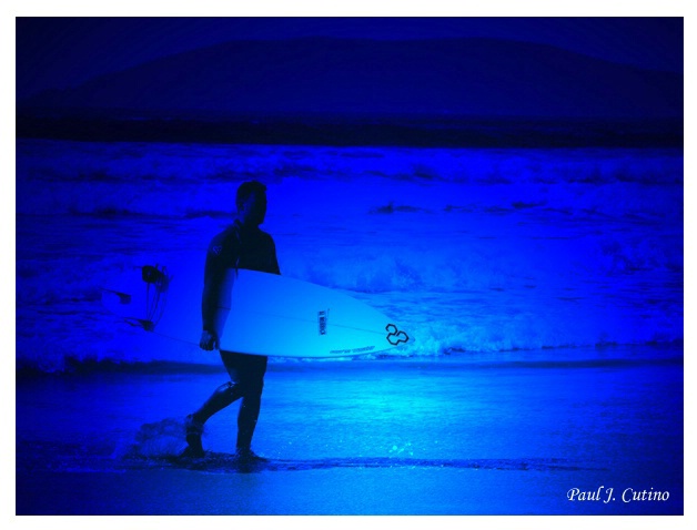 ~ Surfer Dude ~ - ID: 3072609 © Paul Cutino