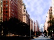 Park Avenue