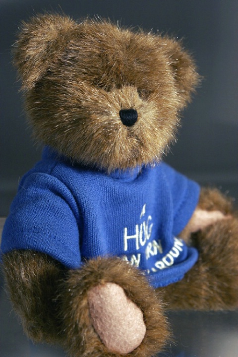 Teddy Beara Portrait 3