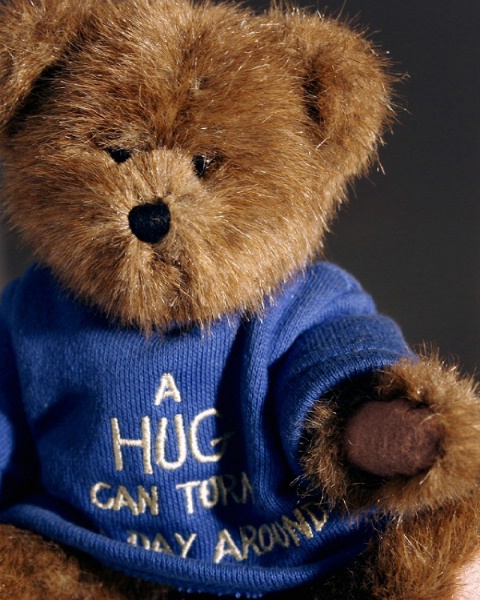 Teddy Beara Portrait 1