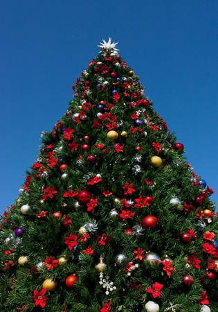 8531 - Christmas Tree At The Shopping Center