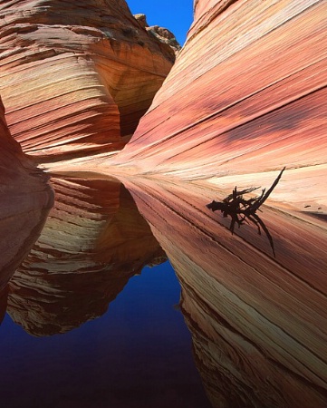 Reflection of a Wave