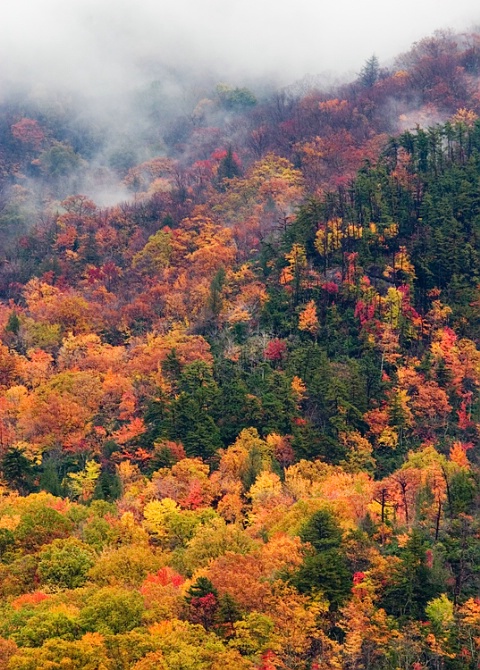 Fall at Mt. Leconte