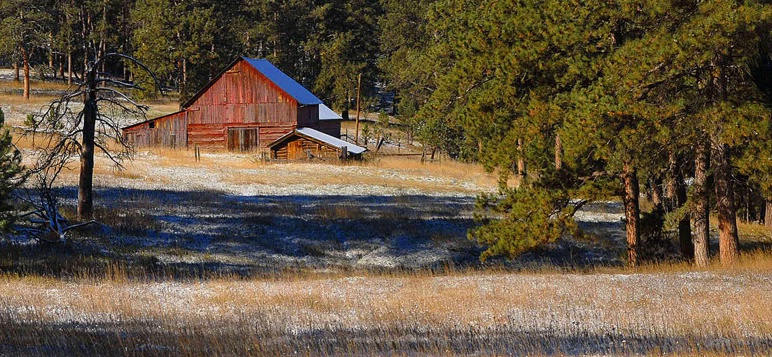 Old barns