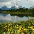 2Inspiration at Oxbow Bend - ID: 3097244 © Sherry Karr Adkins