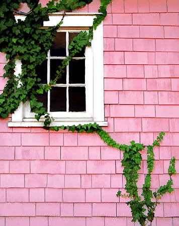 Detail of Pink House